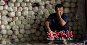 王辰资料,跨越时代的医学巨擘，探索生命奥秘的领航者